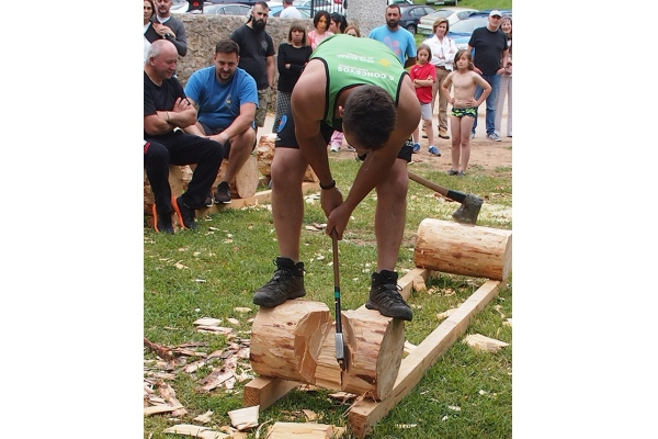 Imagen 2