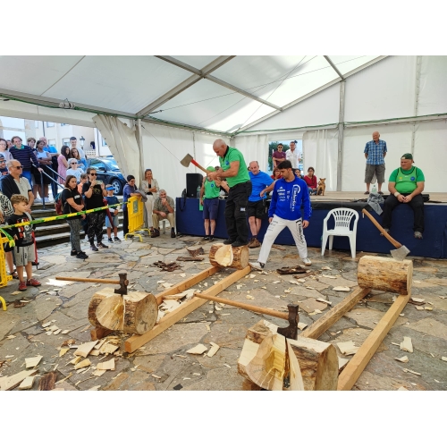 fiestes del portal - villaviciosa
