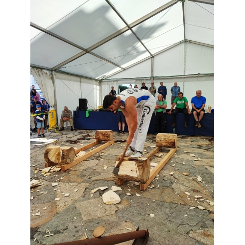 XXX ALCUENTRU DE DEPORTES TRADICIONALES  EUSKADI & ASTURIES - MIERES