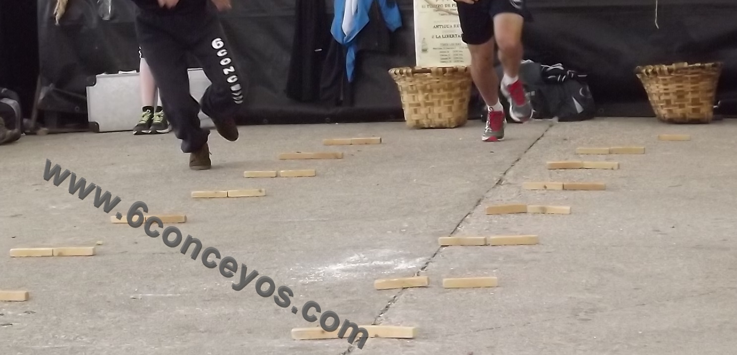 Carrera de panolles